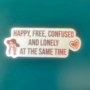 ⚪️Taylor Swift Inspired Vinyl Sticker